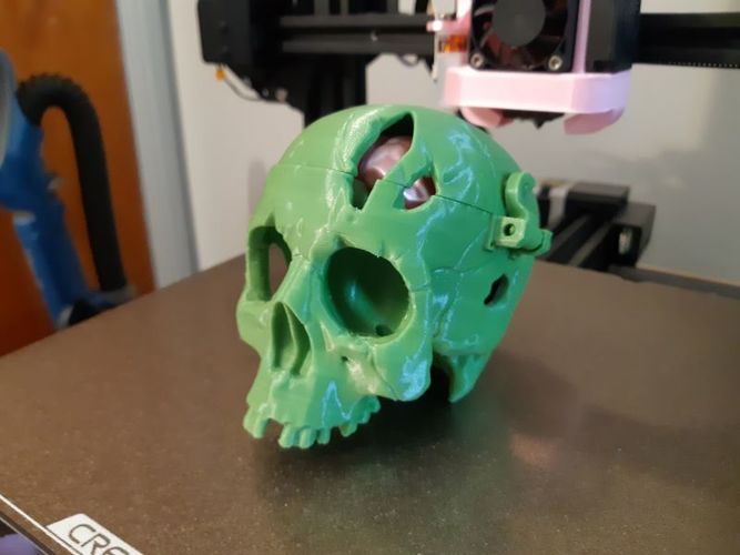 Boneheads: Skull Box w/ Brain - via 3DKitbash.com 3D Print 47513