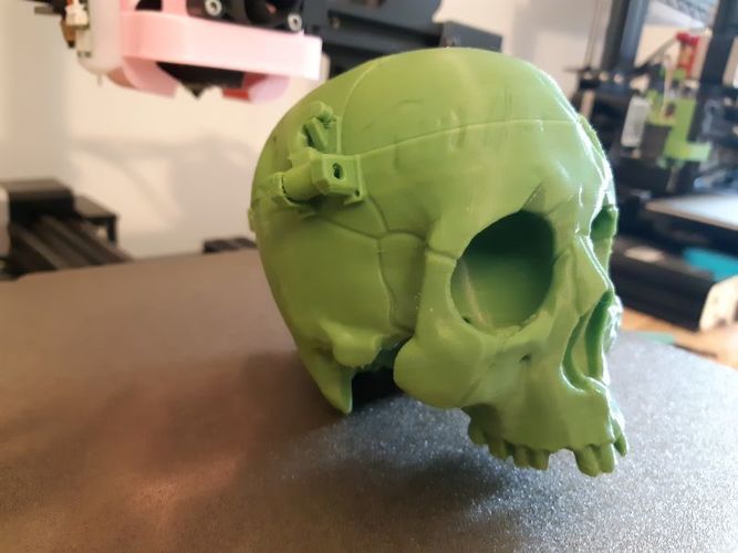 Boneheads: Skull Box w/ Brain - via 3DKitbash.com 3D Print 47514