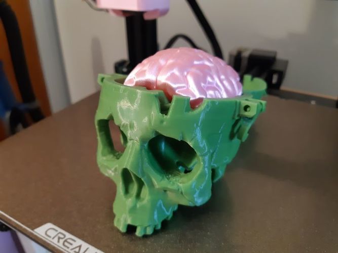 Boneheads: Skull Box w/ Brain - via 3DKitbash.com 3D Print 47515