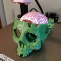 Small Boneheads: Skull Box w/ Brain - via 3DKitbash.com 3D Printing 47515