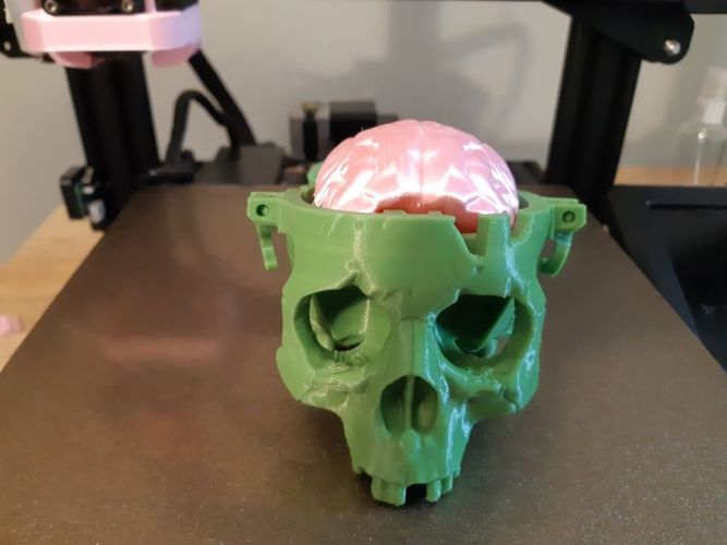 Boneheads: Skull Box w/ Brain - via 3DKitbash.com 3D Print 47516