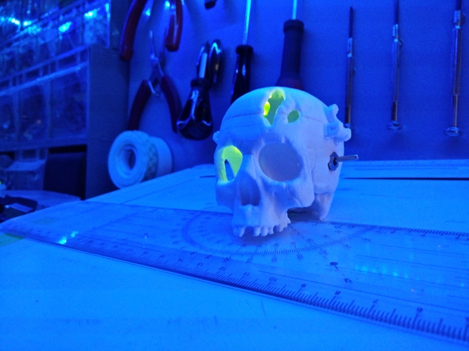 Boneheads: Skull Box w/ Brain - via 3DKitbash.com 3D Print 4829