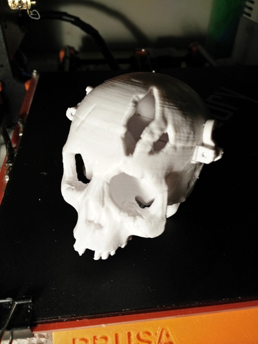 Boneheads: Skull Box w/ Brain - via 3DKitbash.com 3D Print 4835