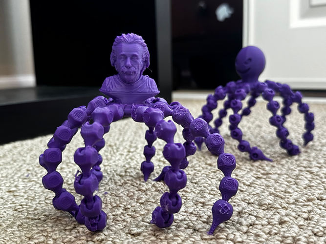 Einstein_POT 3D Print 49372