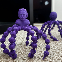 Small Einstein_POT 3D Printing 49372