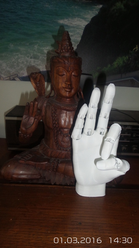 Jointed Hand 3D Print 4984