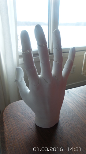Jointed Hand 3D Print 4985