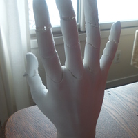 Small Jointed Hand 3D Printing 4985
