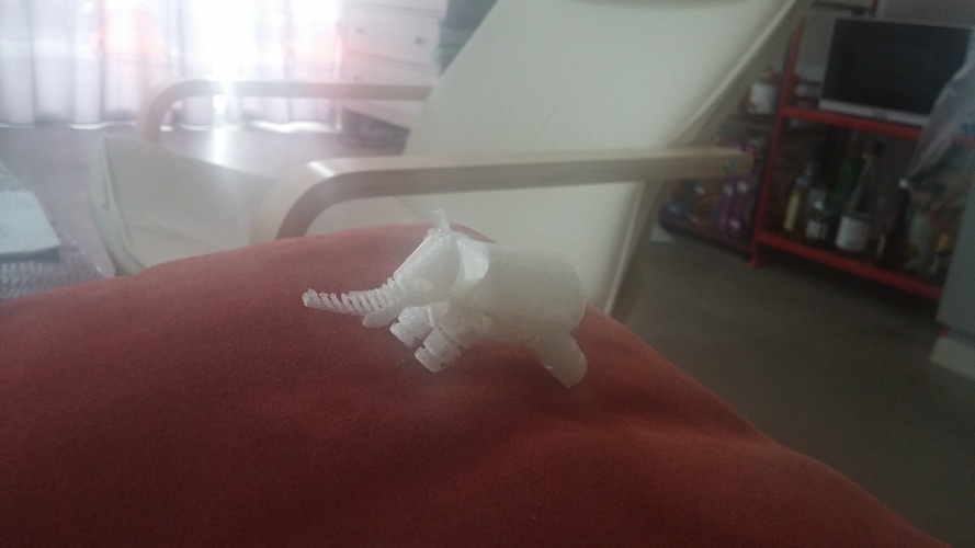 Elephant 3D Print 5071