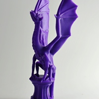 Small Aria the Dragon 3D Printing 5819