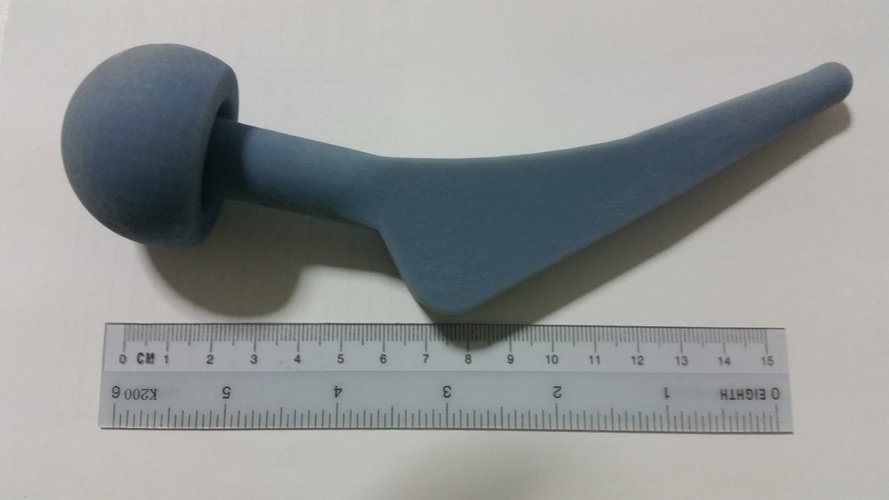 NUS Design Project (Hip Implant) 3D Print 6058