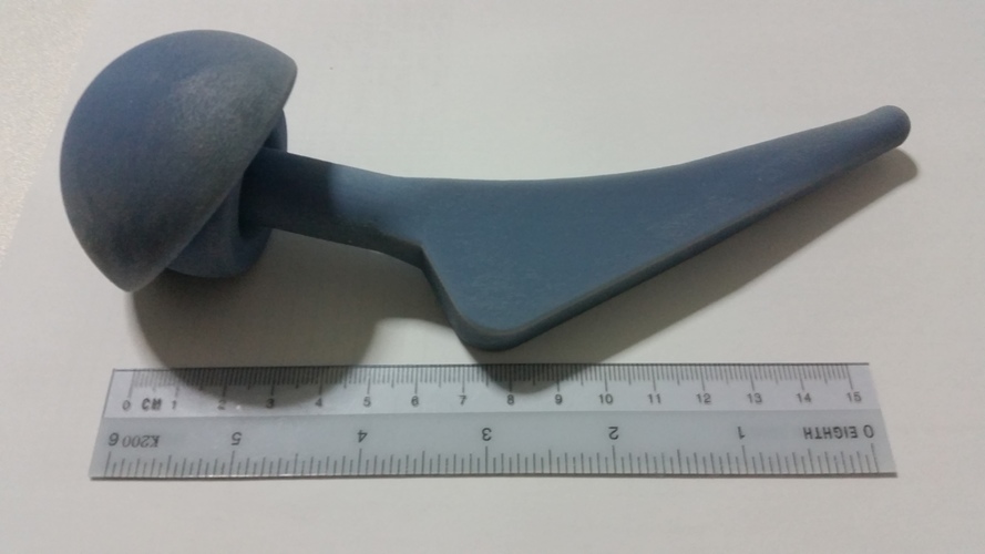 NUS Design Project (Hip Implant) 3D Print 6061