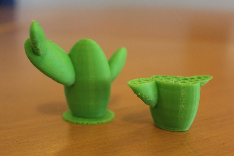 Support Free Cactus 3D Print 635