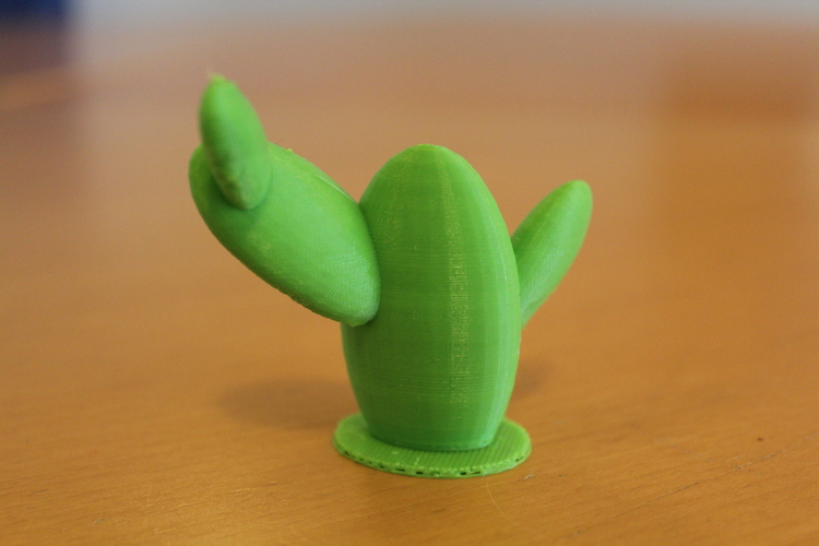 Support Free Cactus 3D Print 636