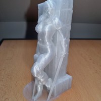 Small Black Swan v2 3D Printing 6426