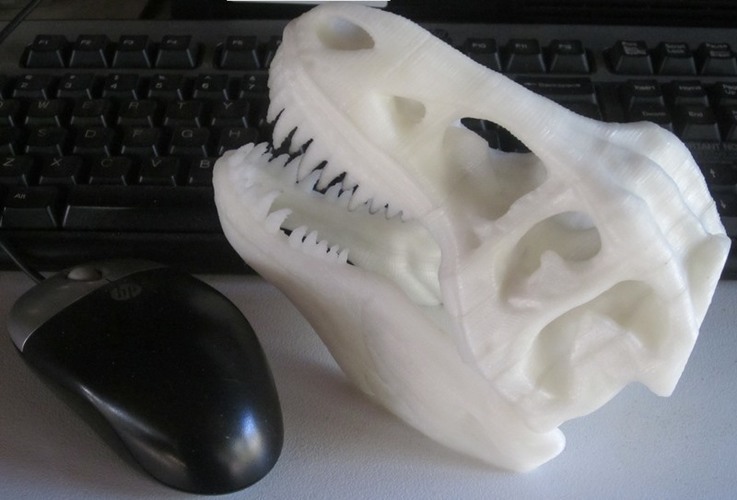 The T-Rex Skull 3D Print 6555