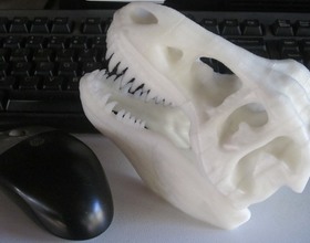 Pin t rex skull print