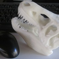 Small The T-Rex Skull 3D Printing 6555