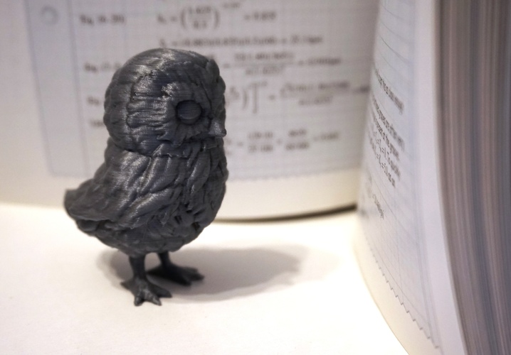 Owl 3D Print 6727