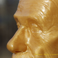 Small Einstein Bust (14K) 3D Printing 6751
