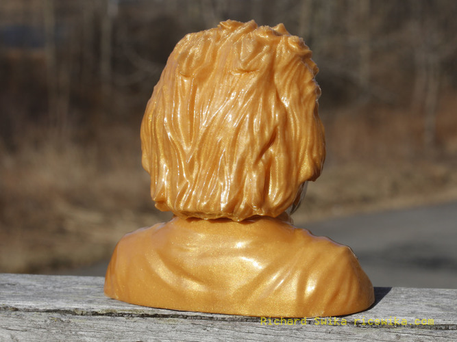 Einstein Bust (14K) 3D Print 6757