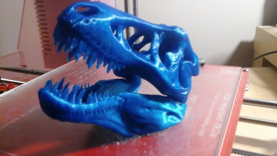 The T-Rex Skull 3D Print 6899