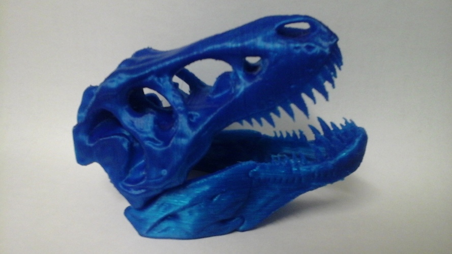 The T-Rex Skull 3D Print 6900
