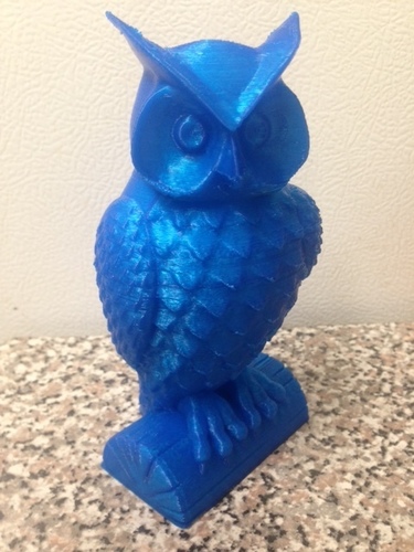 Owl 3D Print 6909