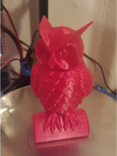 Owl 3D Print 6928