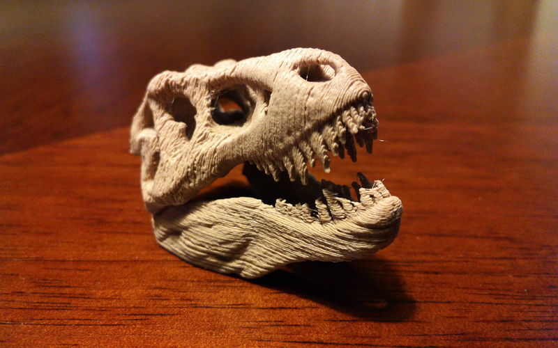 The T-Rex Skull 3D Print 6999