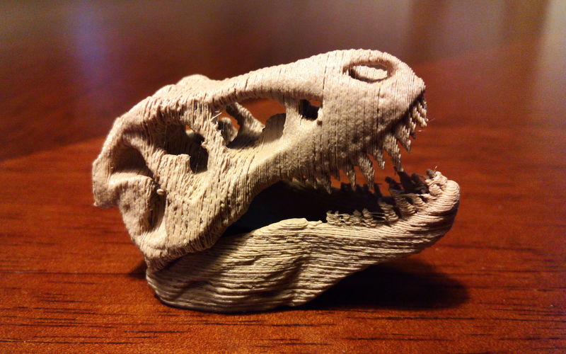 The T-Rex Skull 3D Print 7000