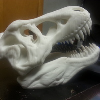 Small The T-Rex Skull 3D Printing 7239