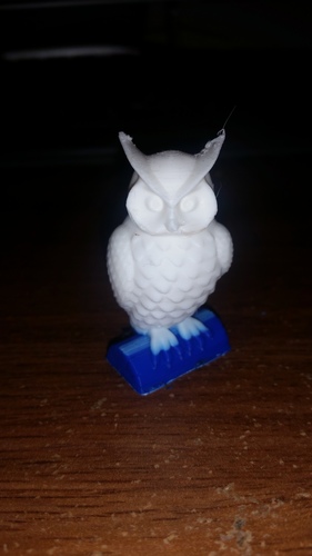Owl 3D Print 7312