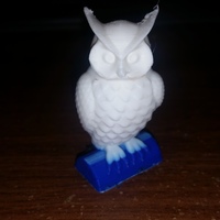 Small Owl 3D Printing 7312