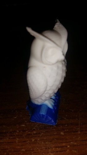 Owl 3D Print 7313