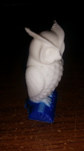 Owl 3D Print 7314