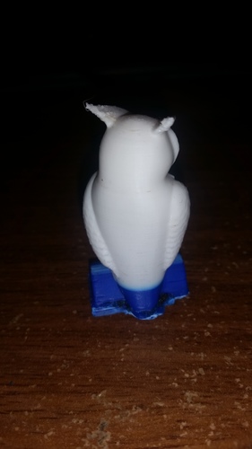 Owl 3D Print 7316