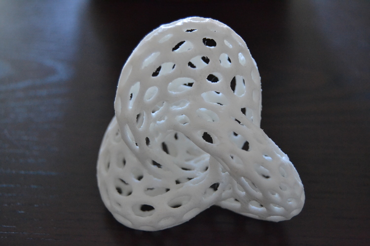 Math Shape - Voronoi Style 3D Print 7561
