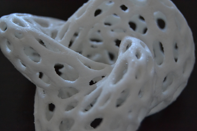 Math Shape - Voronoi Style 3D Print 7563