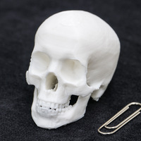 Small Skull 3D Printing 7704
