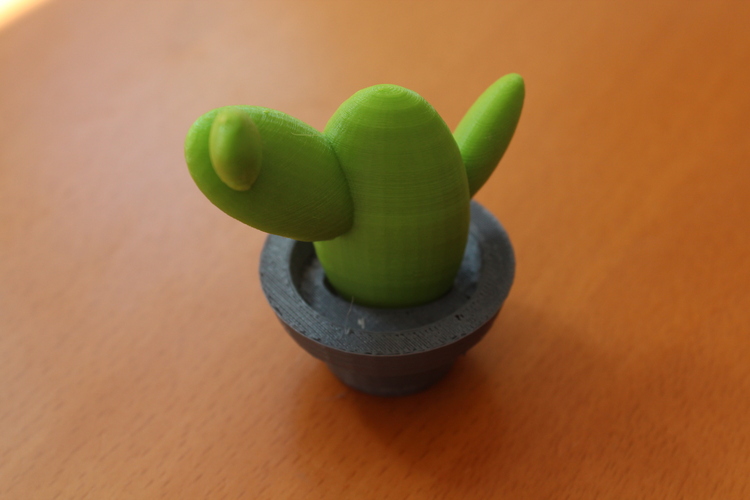 Cactus Pot 3D Print 802