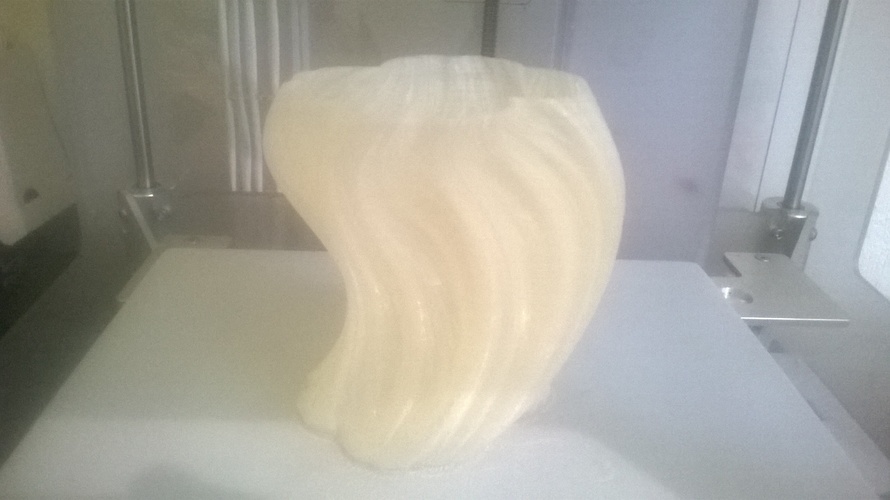 Julia Vase #004 - Bloom 3D Print 8029