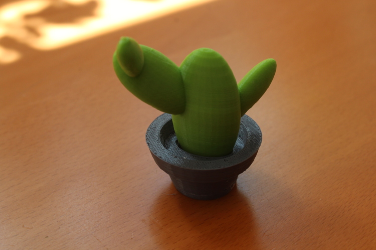 Cactus Pot 3D Print 803