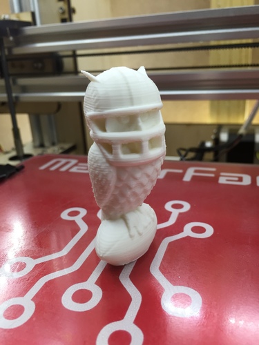 Superb_owl 3D Print 8541