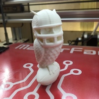 Small Superb_owl 3D Printing 8541