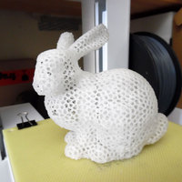 Small Stanford Easter Bunny - Voronoi 3D Printing 881