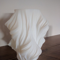 Small Julia Vase #011 - Heatwave 3D Printing 9236