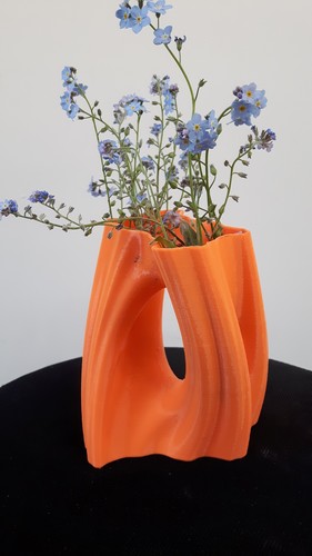 Julia Vase #002 - Flow 3D Print 9544