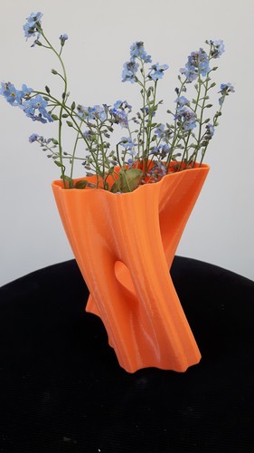 Julia Vase #002 - Flow 3D Print 9549