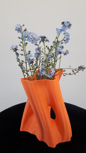 Julia Vase #002 - Flow 3D Print 9551